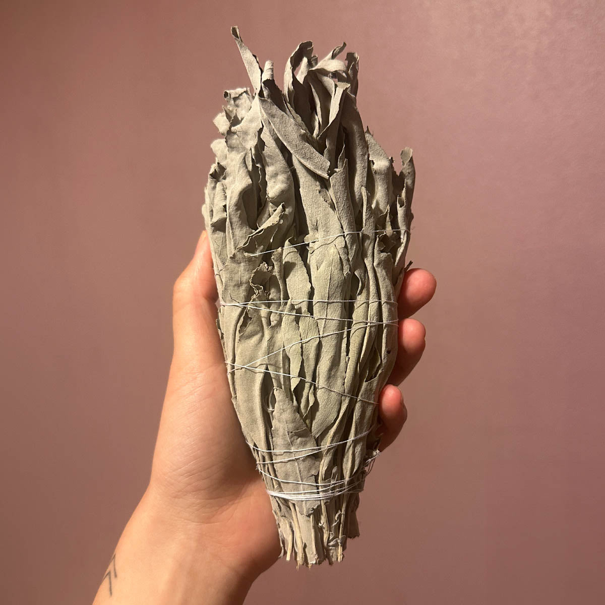 Organic White Sage Smoke Wand XL (NZ Grown)